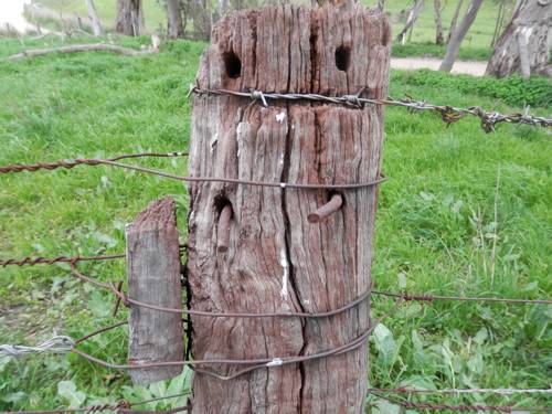 old wooden fence post