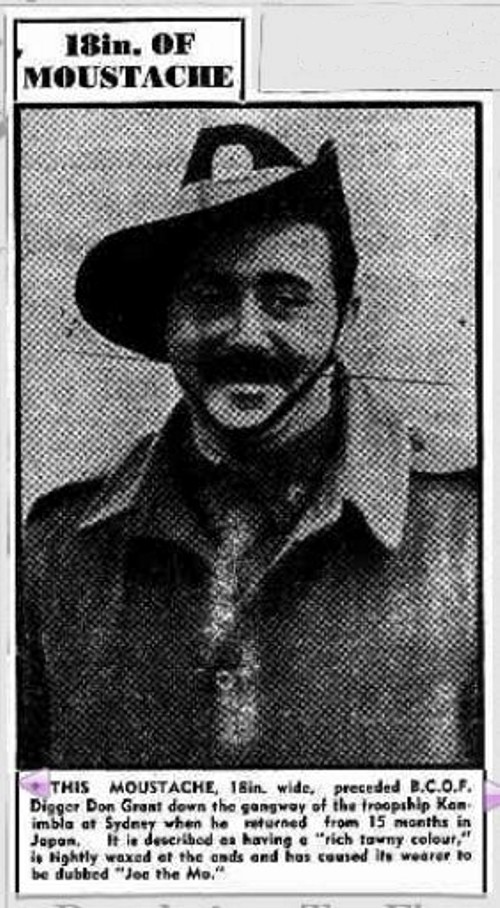 moustache 1947-05-29 The Daily News - 18in of Moustache