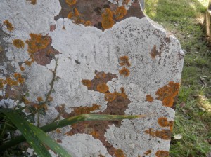 headstone of Unknown Randle at Berry Pomeroy church, Devon (click for a larger image)