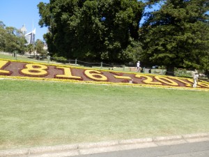 the Sydney Botanical Garden