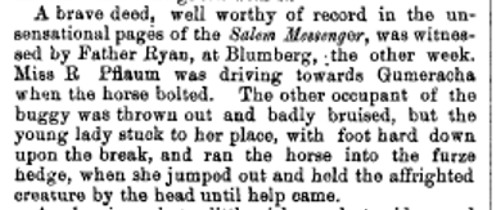 Salem Messenger, January 1899