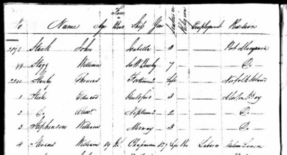 sample from the NSW 1828 Census on Ancestry