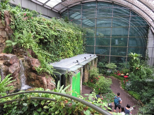 the Butterfly garden at Changi airport,Singapore was a must-visit