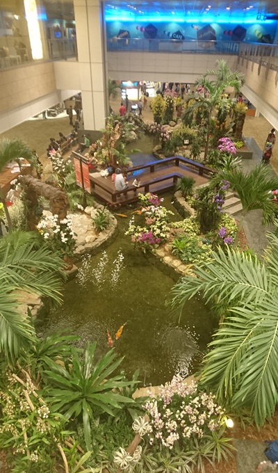 orchid garden at Changi Airport, Singapore