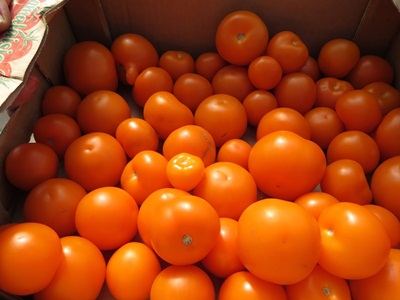 orange tomatoes