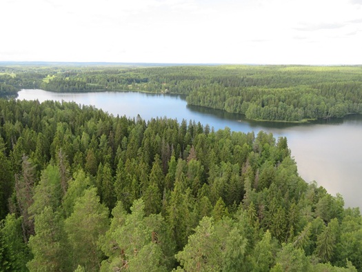 the view at Aulanko Park Forest